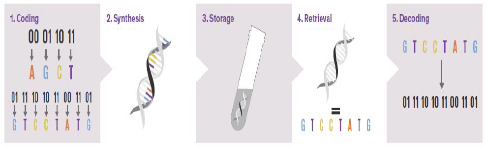 Data Storage Process